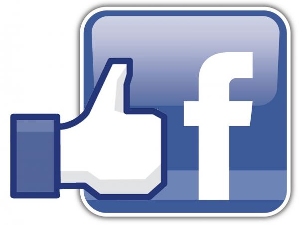 Facebook like logo 020186600 0046 16122014